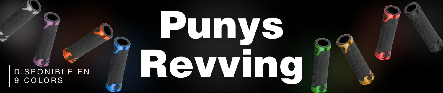 BANNER PUNYS REVVING