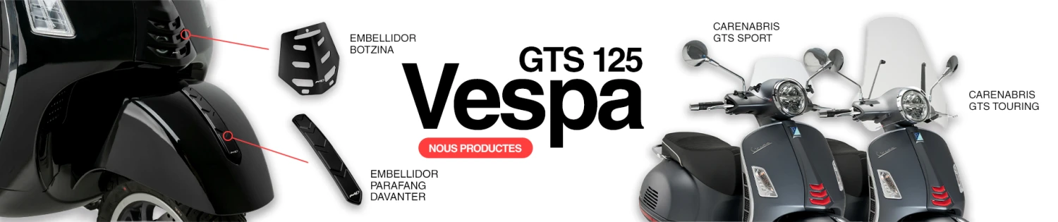 GTS 125