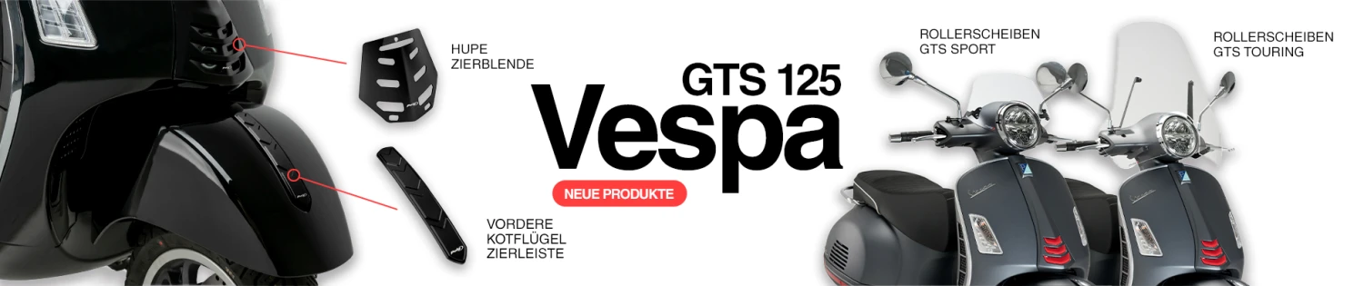 GTS 125