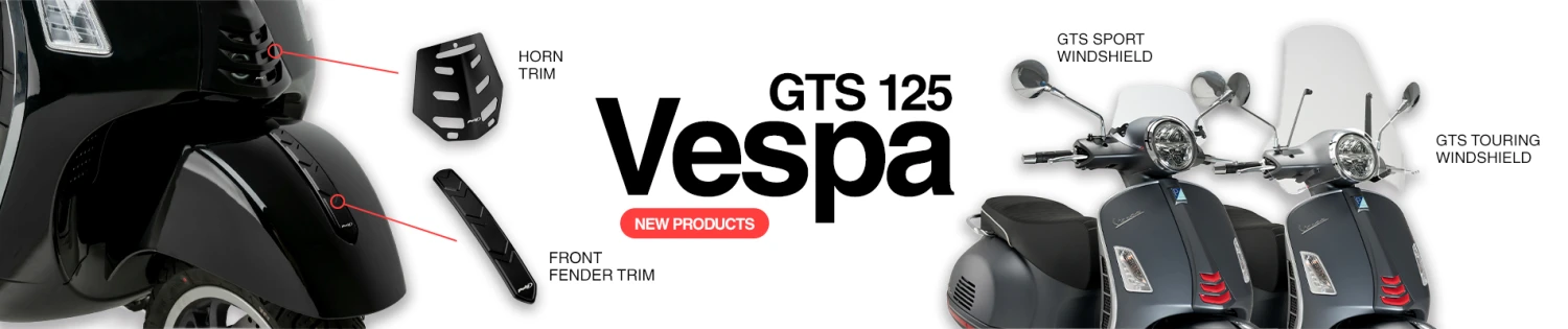 GTS 125