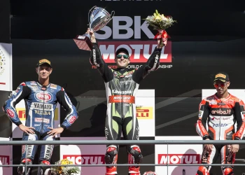 SUPER DOUBLE FOR REA AND KRT