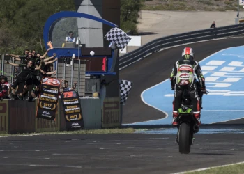 Rea wins as Kawasaki takes Manufacturers' Championship