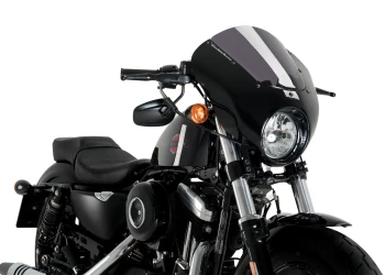 Semicarenati Dark Night