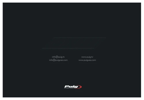 Puig F1.1 and GT.1 rear-view mirrors: sports essence